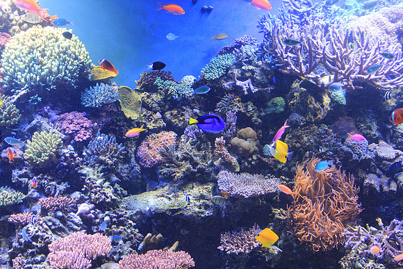MontereyBay_ 214