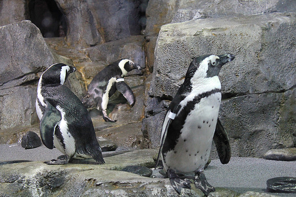 MontereyBay_ 057