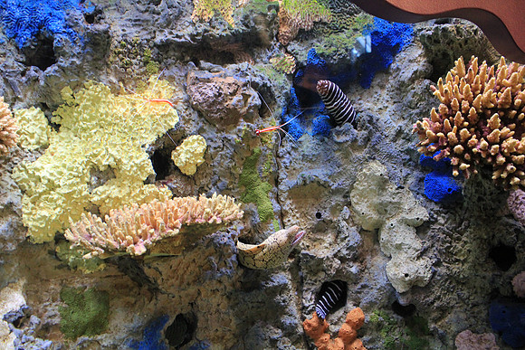 MontereyBay_ 051
