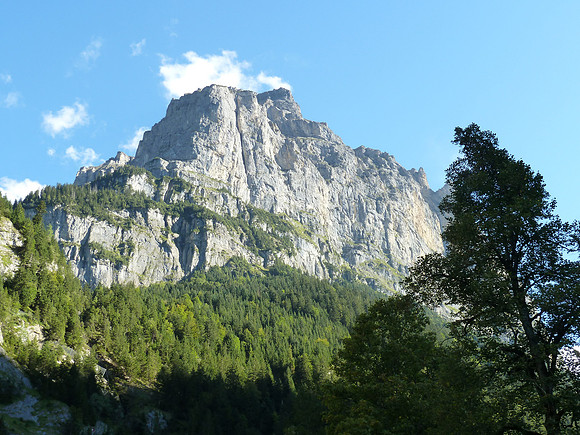 P1030909