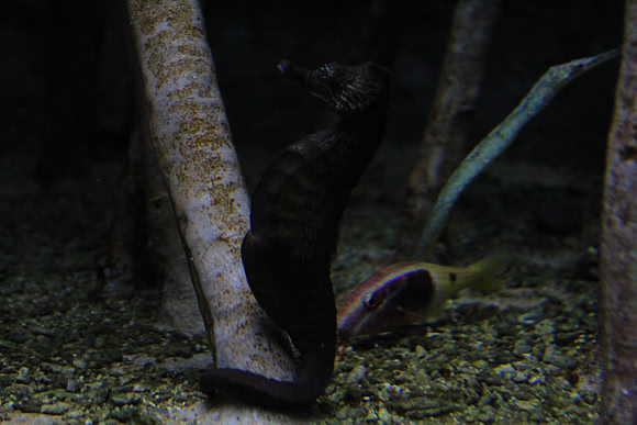 MontereyBay_ 285
