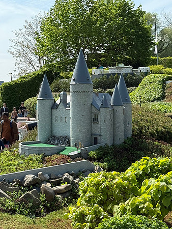 IMG_3043