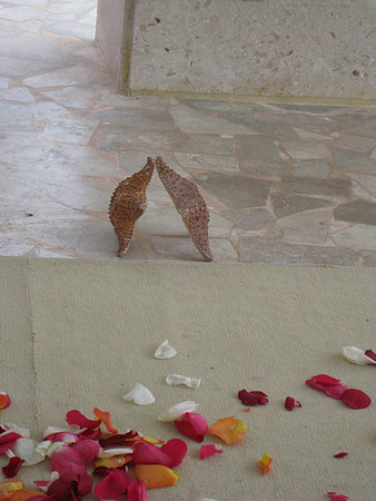 WeddSSSZ_0047