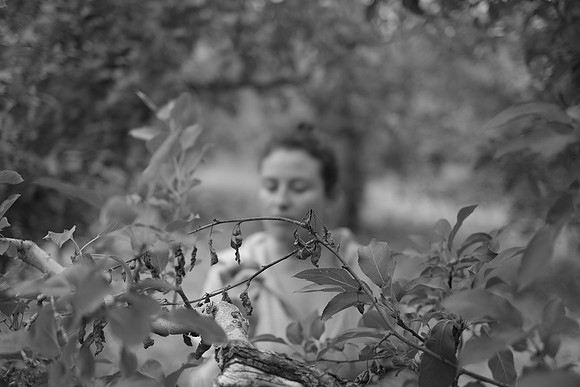 ApplePicking201209_081
