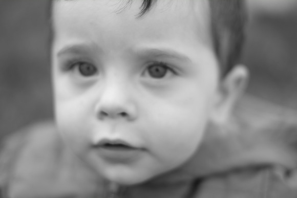 ApplePicking201209_087
