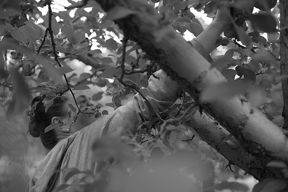 ApplePicking201209_084