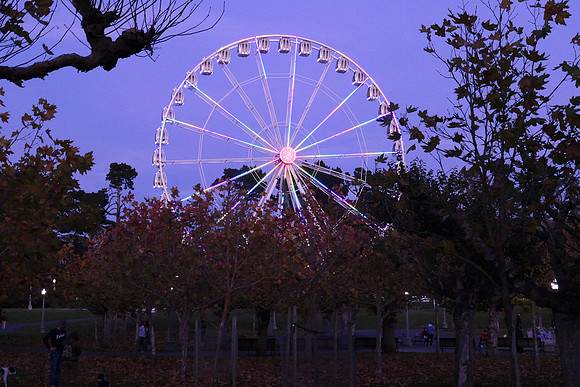 IMG_0246