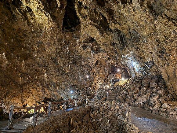 IMG_2650