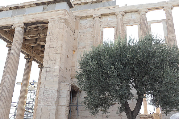 athens-035