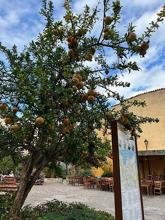 chania-038