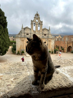 Greek Cats