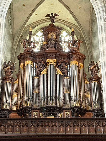 IMG_2950