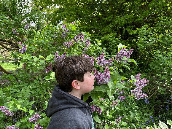 IMG_1739