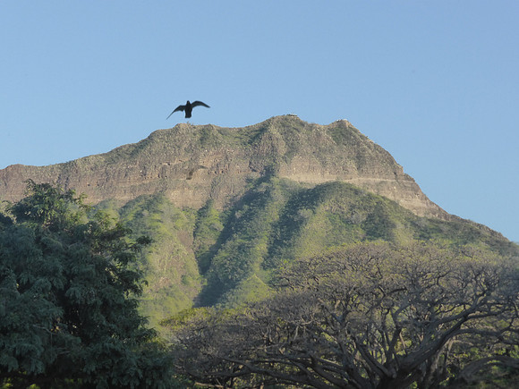 HawaiiByIS_0304