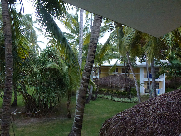 P1030351