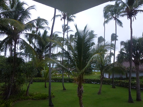 P1030347