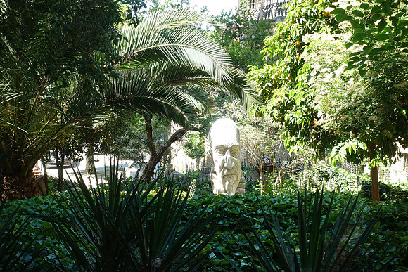 DSC03781