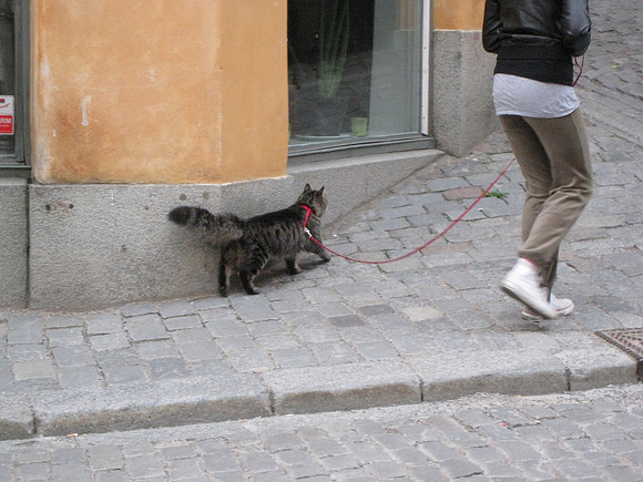Stockholm_212