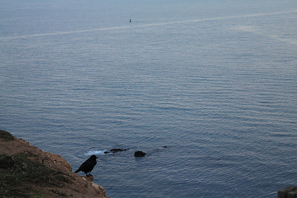 PointReyes_ 117