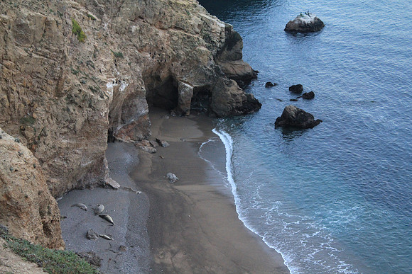 PointReyes_ 105