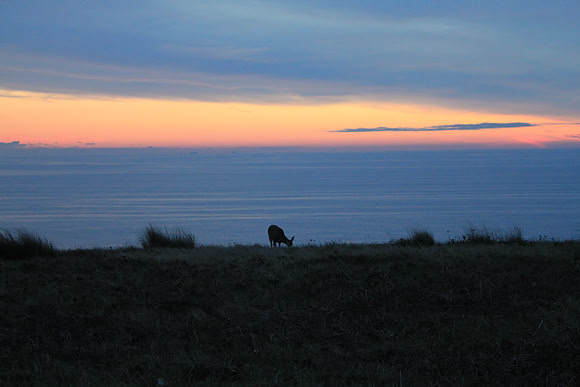 PointReyes_ 141