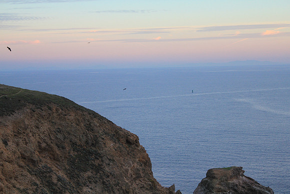 PointReyes_ 103
