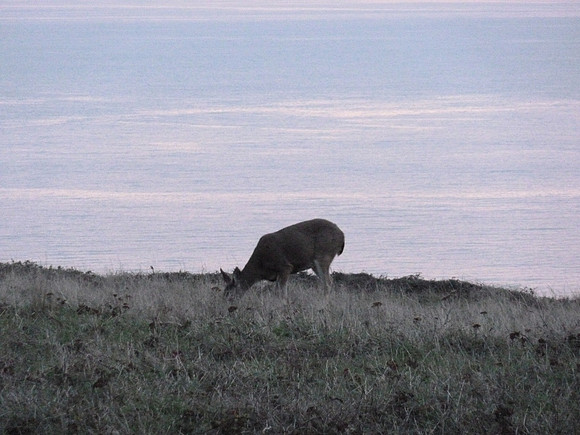PointReyes_ 048