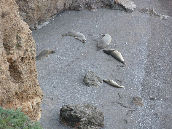 PointReyes_ 035