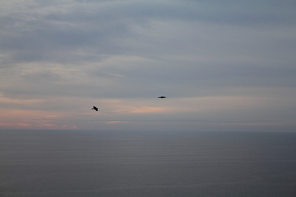 PointReyes_ 081