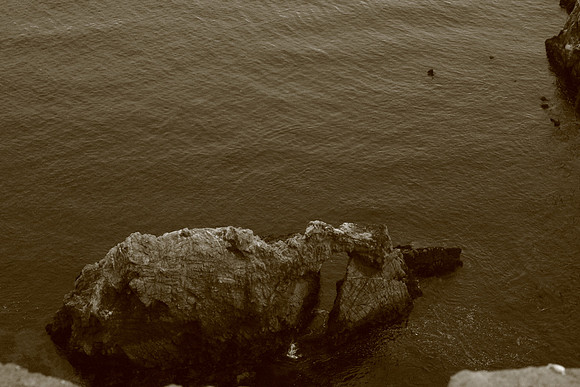 PointReyes_ 122