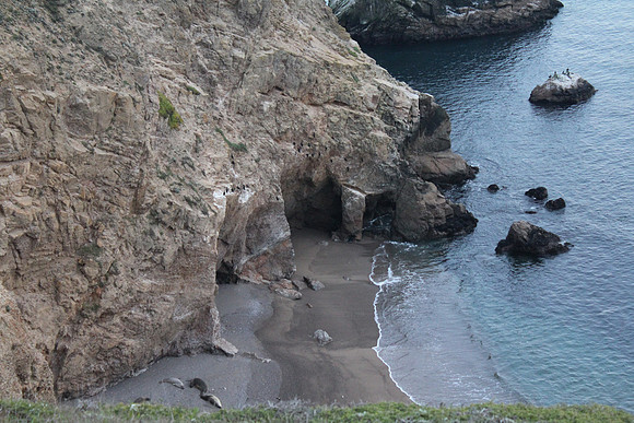 PointReyes_ 099