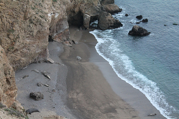 PointReyes_ 100