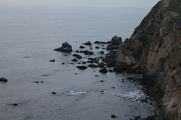 PointReyes_ 116