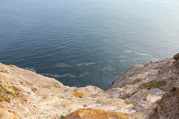 PointReyes_ 059