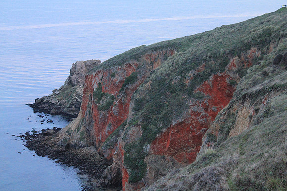 PointReyes_ 129