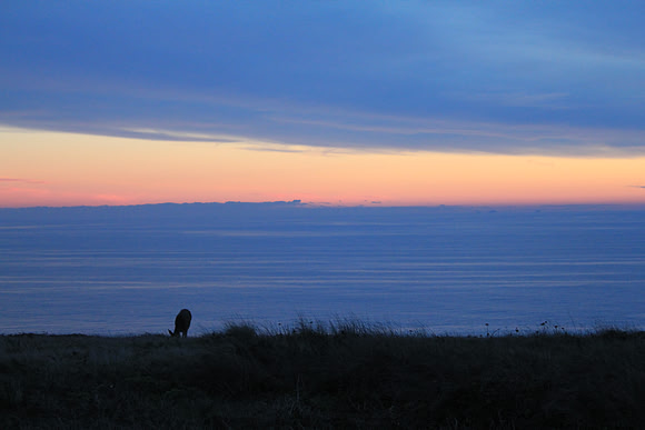 PointReyes_ 142