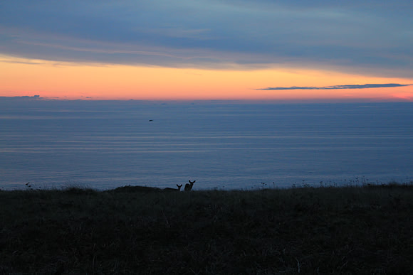 PointReyes_ 143