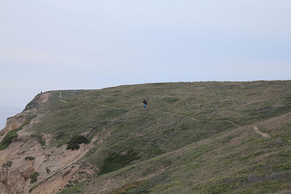 PointReyes_ 110
