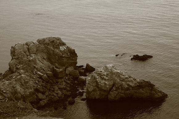 PointReyes_ 123