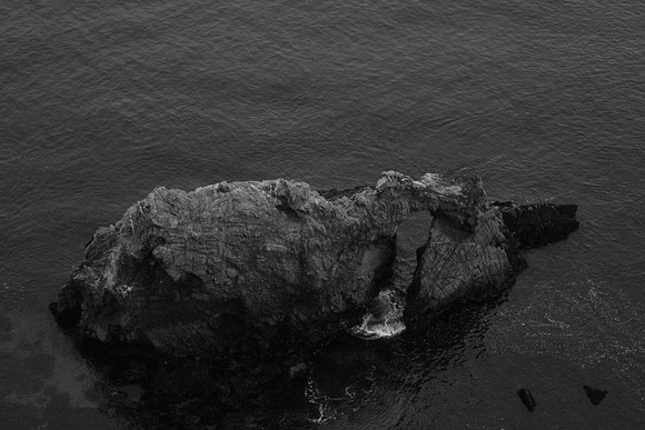 PointReyes_ 120