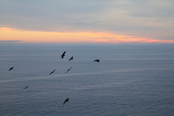 PointReyes_ 107