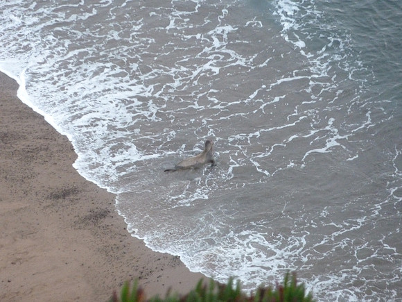 PointReyes_ 033
