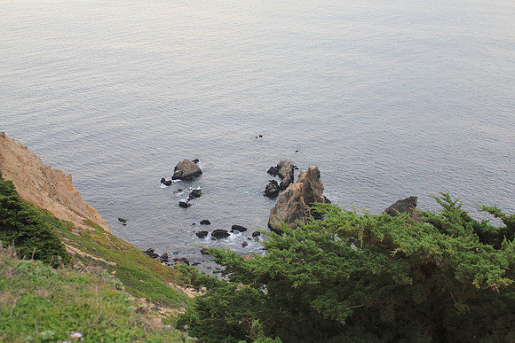 PointReyes_ 078