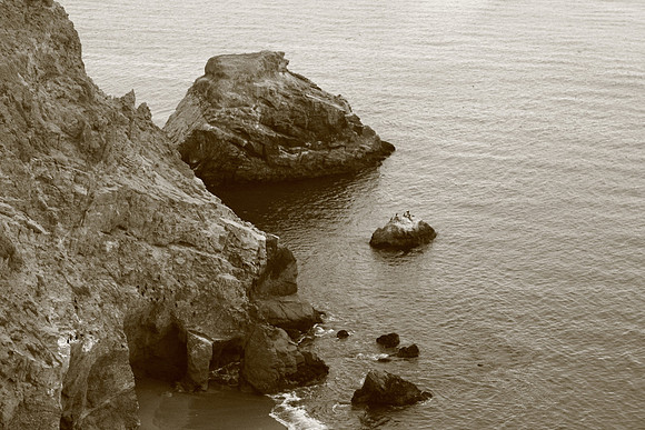 PointReyes_ 102