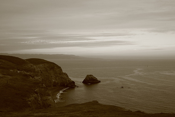 PointReyes_ 095