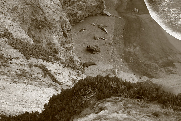 PointReyes_ 101