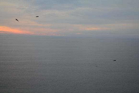 PointReyes_ 080