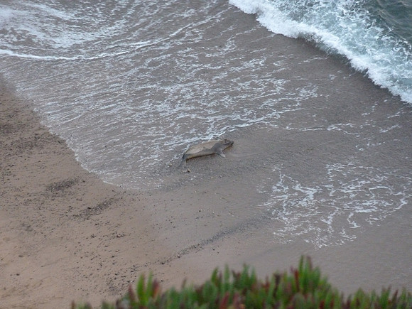 PointReyes_ 034