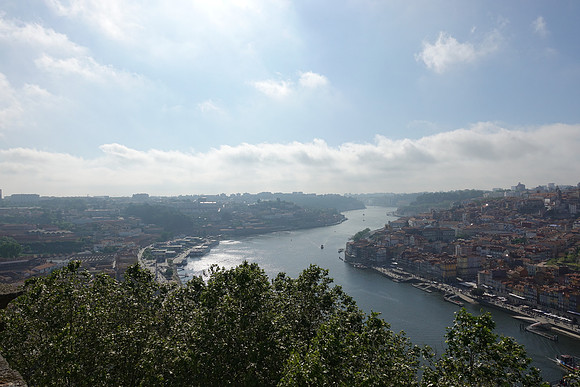 DSC01861
