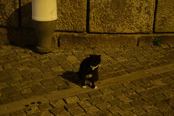 DSC01999